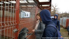 2019.03.14 - Pomoc dla bezdomnych zwierząt